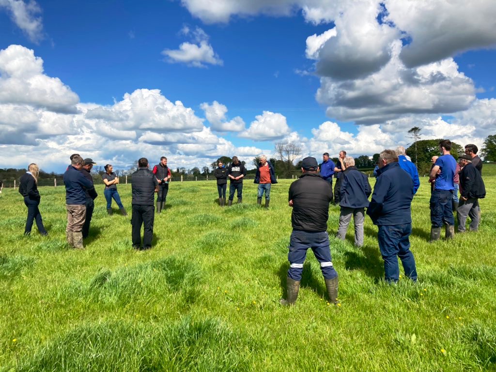 Kicking off another 8 customer discussion group meeting’s today in Westmeath. 
Then we are in Meath, Offaly, Galway, Cavan, Laois, Kilkenny &amp; Tipperary 

Agenda: 
• Handling ongoing high growth
• Holding Yield and Protein levels
• Protecting cow movements

#LelyMullingar
