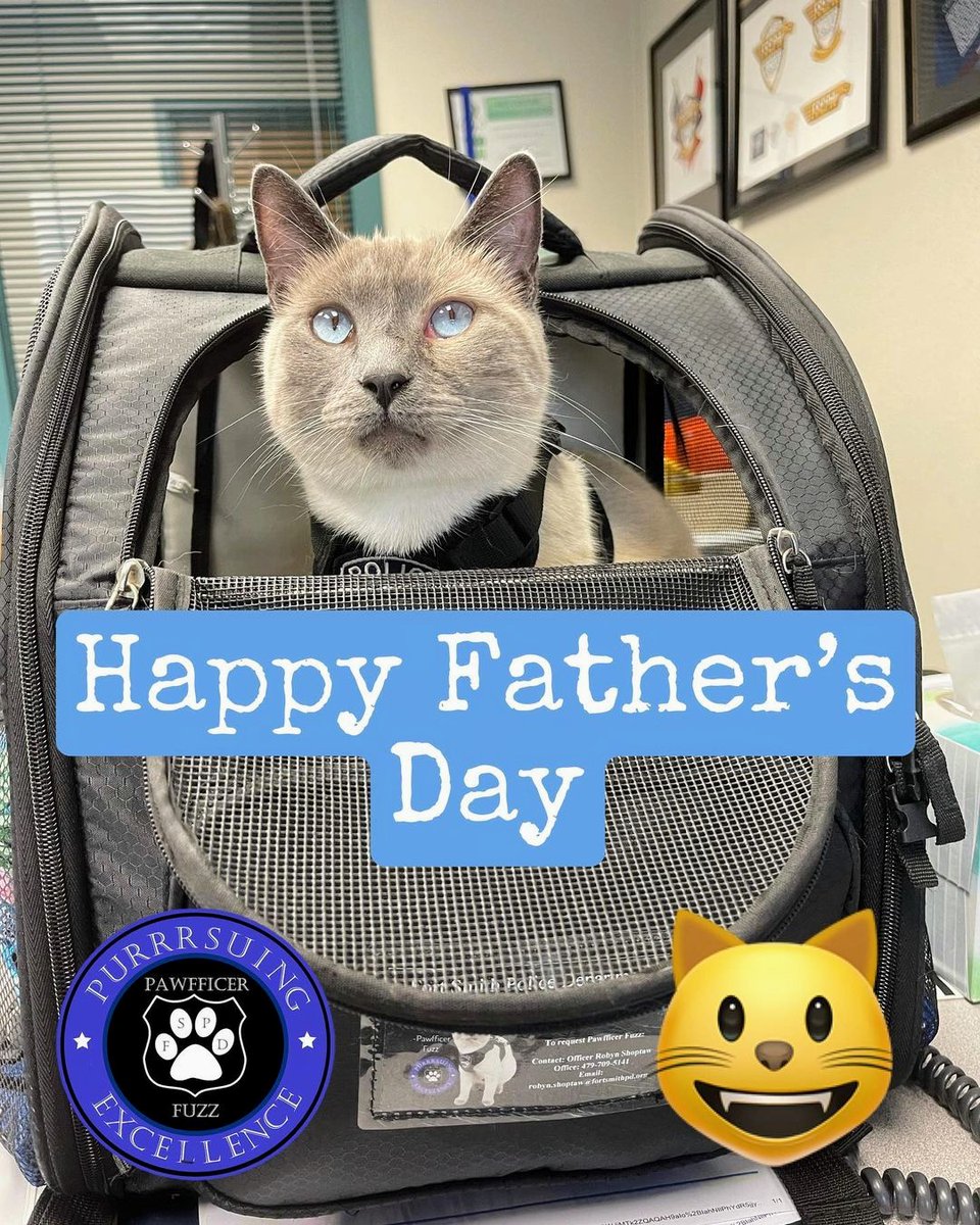 leighterry1932's tweet photo. #HappyFatherDay! ~Pawfficer Fuzz🐱 #policecat #felineunit #pawfficerfuzz #catcop #catswithjobs #feline #officer #police #cats #policekitty #backtheblue #kittycop #catjobs #workingcat #lawenforcement #arkansas #catsofinstagram #CatsOfTwitter #catsofarkansas
Repost @pawfficer_fuzz https://t.co/psDoeU3taD