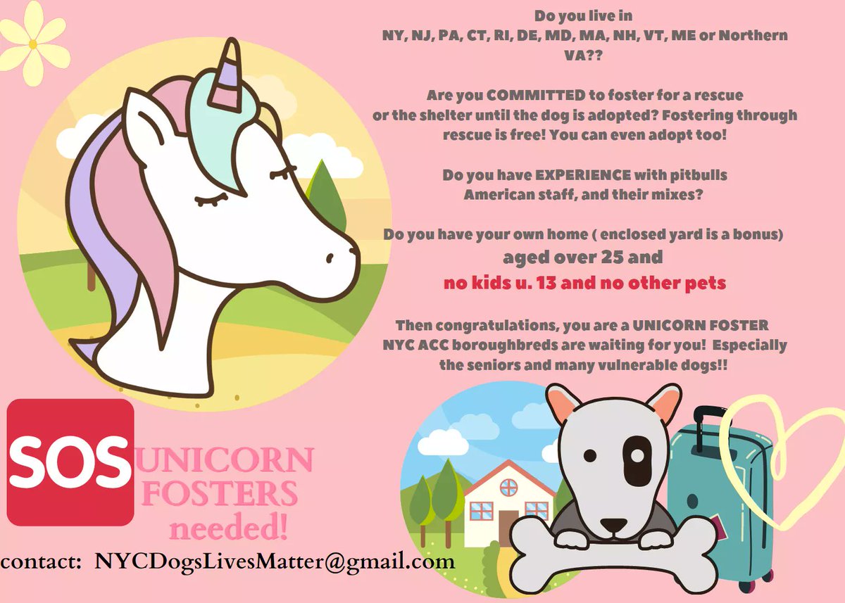 💔Guava💔
NYCACC #118430
-15 Hours💉
Spunky Meatball🤗
Hunky Gentleman😍
Shelter Stress😱
Wiggle &amp; Wags Outside🥰
Slow Intros
Leash Pro
Wants to Stop &amp; Smell🌺
Craves Security &amp; Quiet
Soft Landing 4 this Gentle Boy
Watch this Video
Just Needs to Get Away from ☠
#Pledge
#Foster