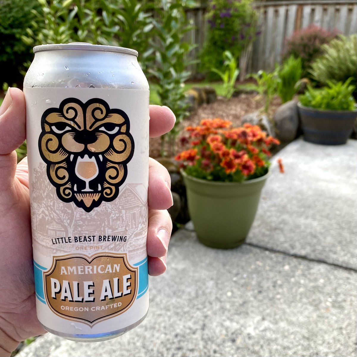 Porch beer! @LittleBeastBeer’s “American Pale Ale”. 5.2% is perfect (and delicious) for an 88 degree evening. Cheers! #CraftBeer #OregonBeer #SummerSolstice 🍻
