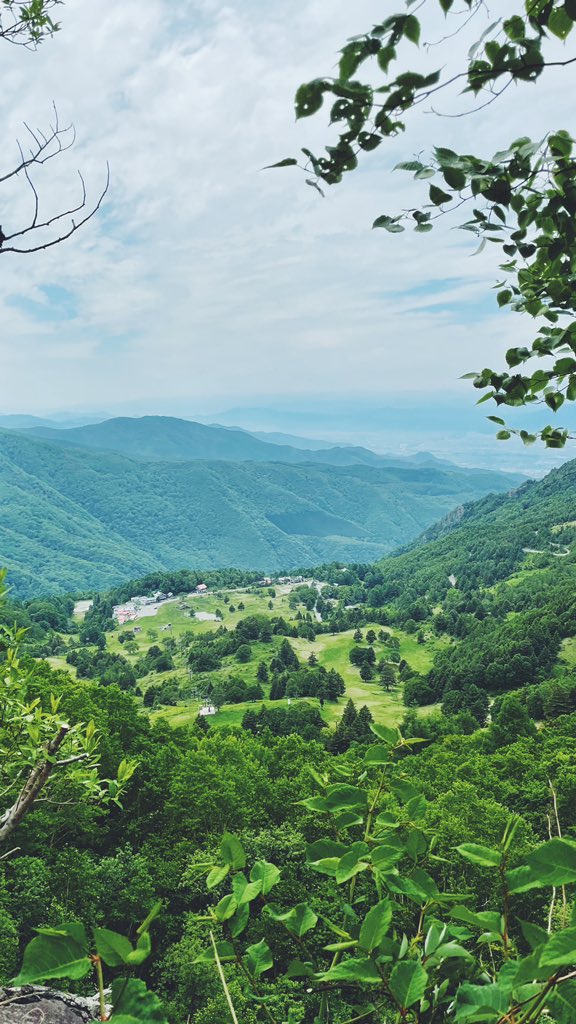 竹内ヒロキ 信州高山村の宿 Redwood Inn マネージャー Take Hiro0426 Twitter