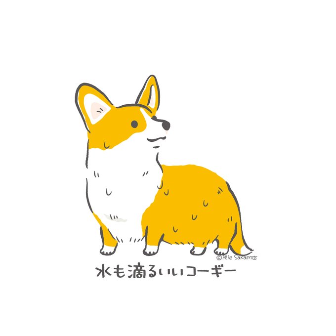 「corgi」のTwitter画像/イラスト(新着))