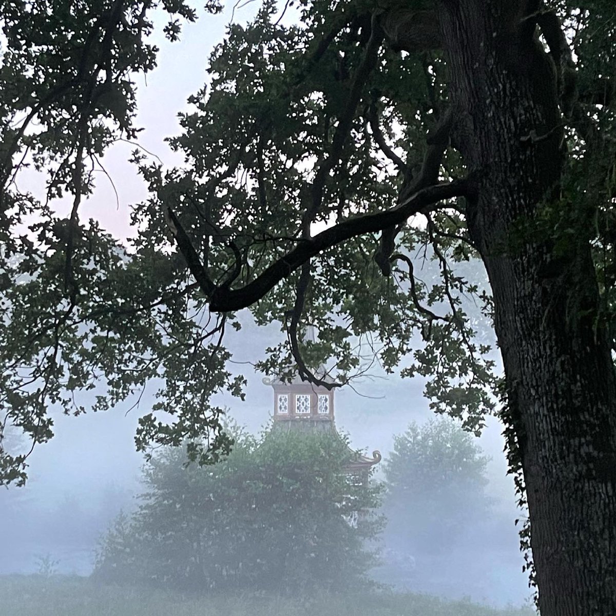 mercotte's tweet photo. Et c’est reparti pour une très longue journée, commencer pour quelques tours de parc ça donne la pêche 😅 #tournage #lmp10 #montfortlamaury #chateaudegroussay #marchematinale #été #bbcstudios #kitchenfactory #m6 https://t.co/vlX3nZRD26