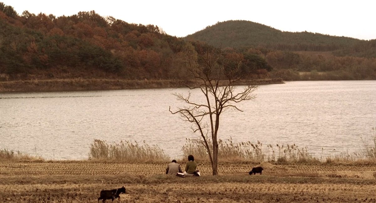 19 years ago today, Bong Joon-ho's MEMORIES OF MURDER was released in theaters.