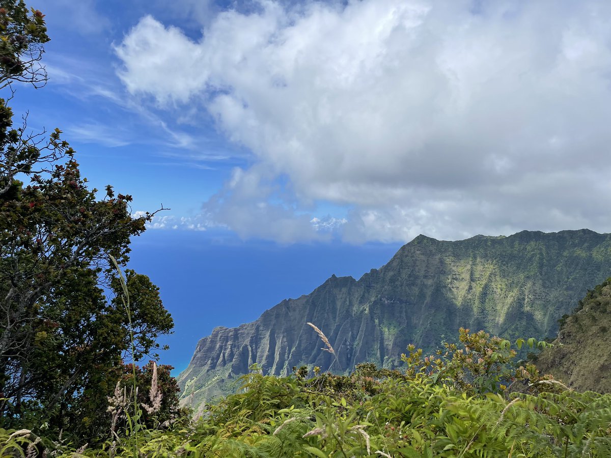 Emily Harer tweet media