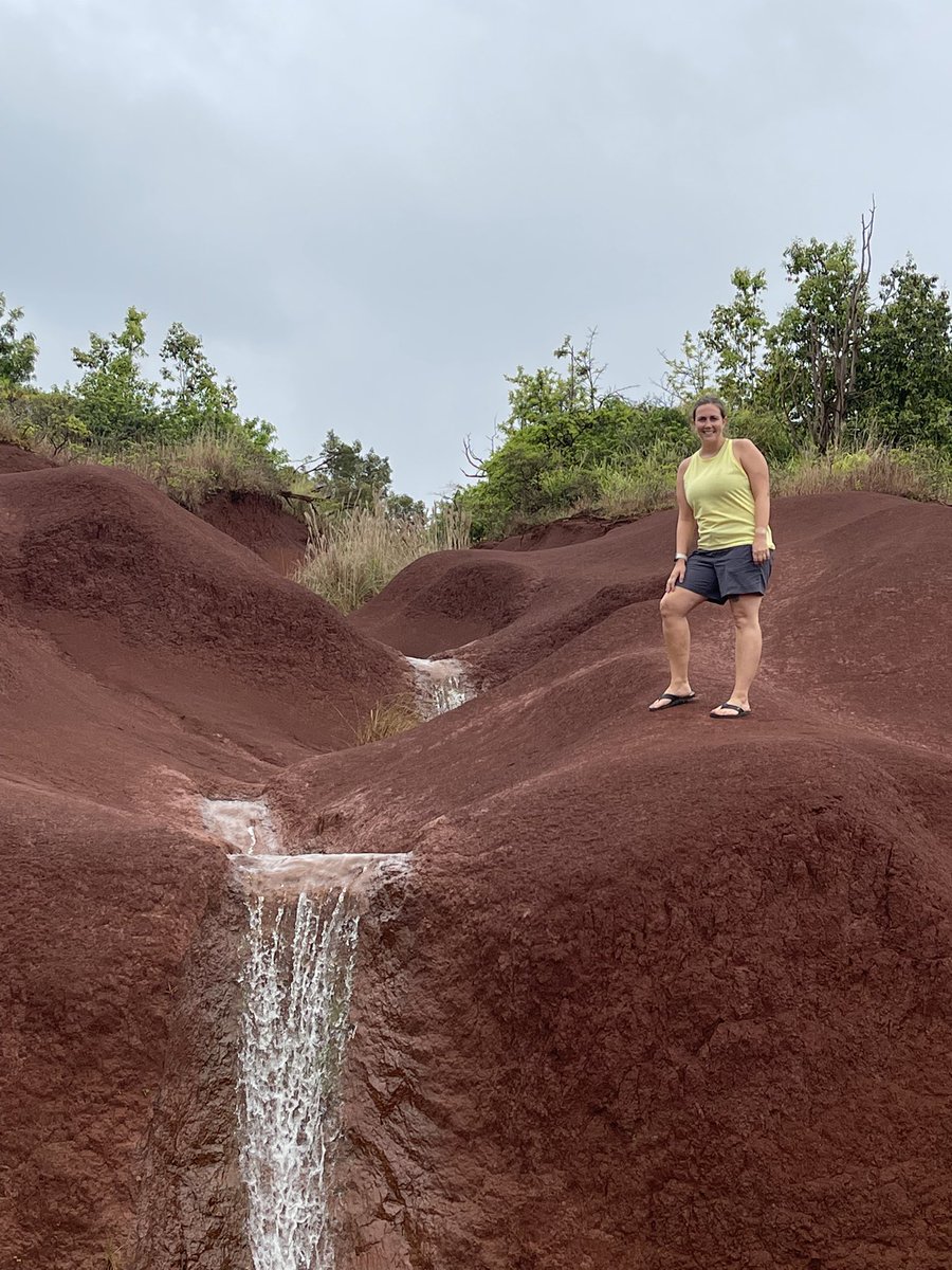 Emily Harer tweet media