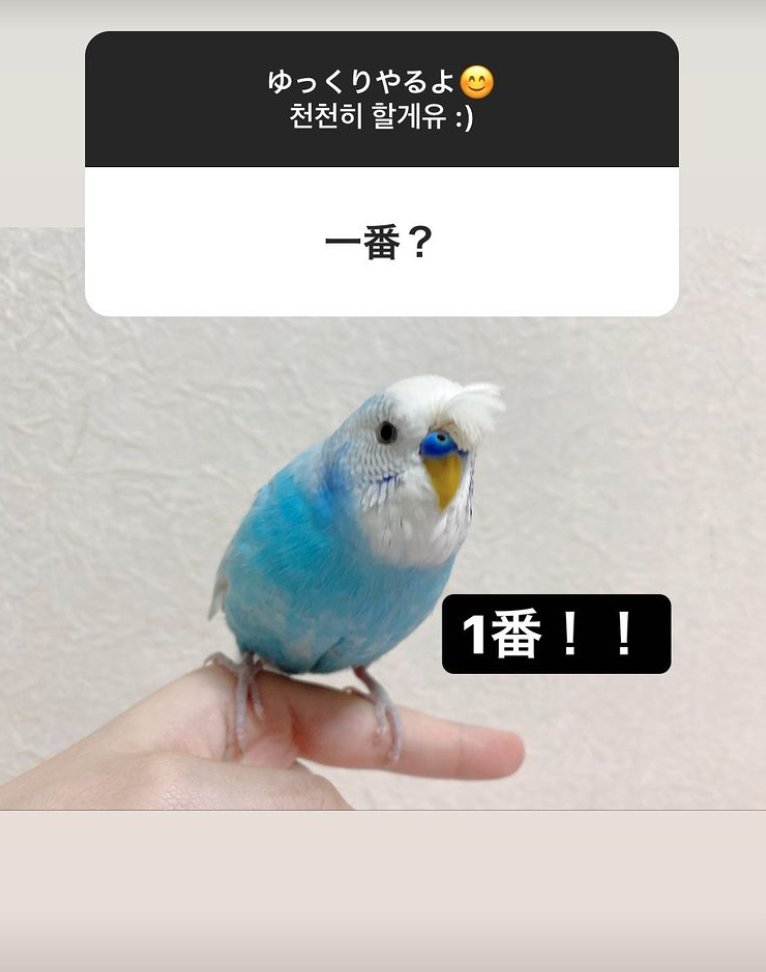 📸 [PHOTO] 210621 Nako Instagram story update

📃 Q: 1st?

A: 1st!!

#야부키나코 #YabukiNako #矢吹奈子 
#IZONE #아이즈원 #アイズワン <a href="/official_izone/">official_IZONE</a>