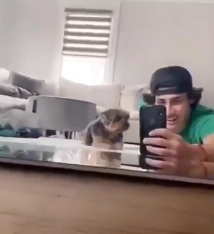 BuddyLifeMagzn's tweet photo. buddylifemagazine- Cutest stealth attack😛😁🤣
https://t.co/9l51LP9tMl
https://t.co/pnE3L7uw1t
#sundaywithdad #sundayfunday #stealthattack #sneak #cutepuppies #buddylifedogmagazine🐕 https://t.co/MNuFgbWhdV