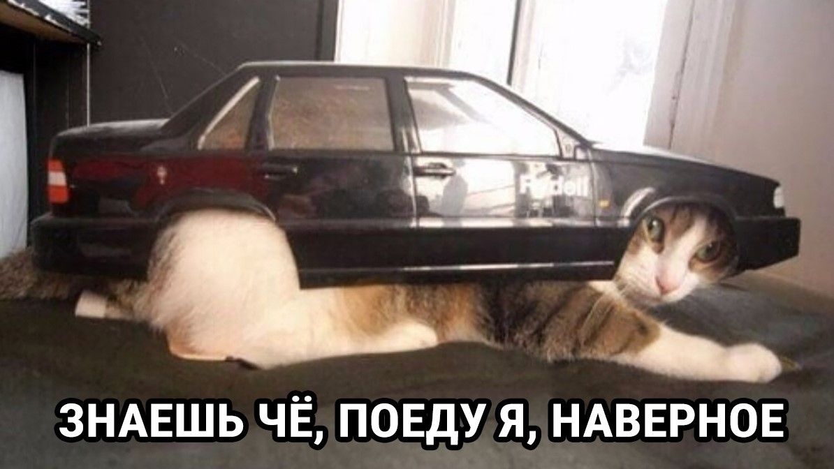 drunktwi's tweet photo. Я: *сижу на работе в 35-градусную жару*
Моя кукуха: https://t.co/qZJArsbVyx