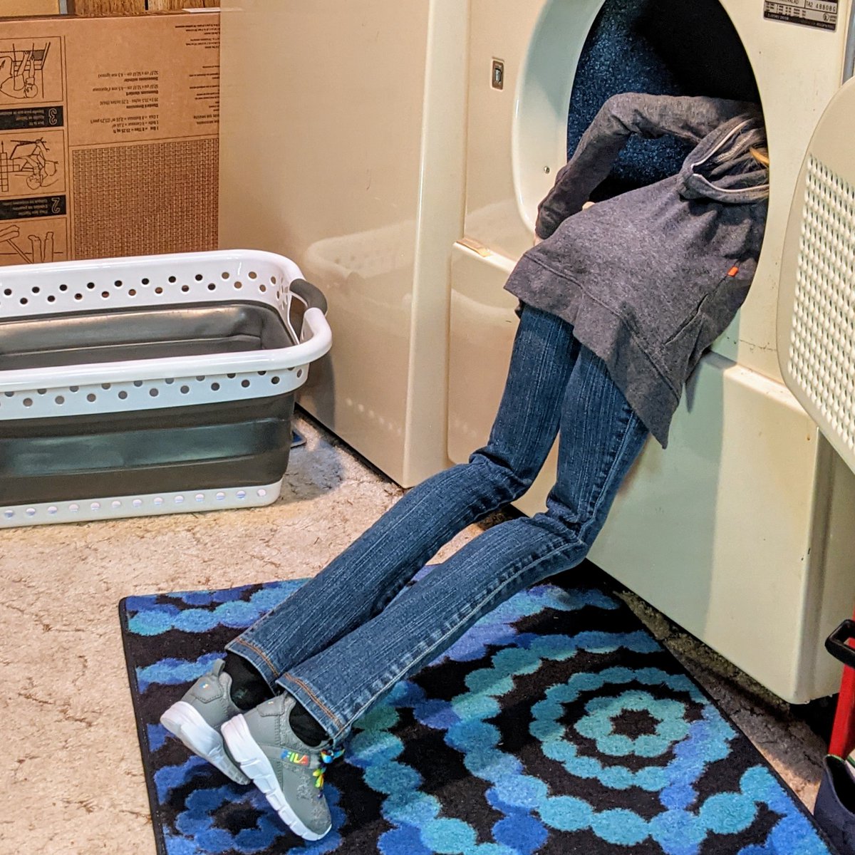 rc2agog's tweet photo. "Got it? OK, I'm pulling you out now.." / "Found your other sock!" "Oh, Kitsu!" ๐
๐๐ #Kitsu #Gliss #SmartDoll #BJD #SmDplus #actionfigure #LostSock #laundry #purplesock #pepperonipizza #purpleflashlight #dryerhose #lint #hangedman #helpful #adventure #cabinfever https://t.co/1hOcy2QQhb