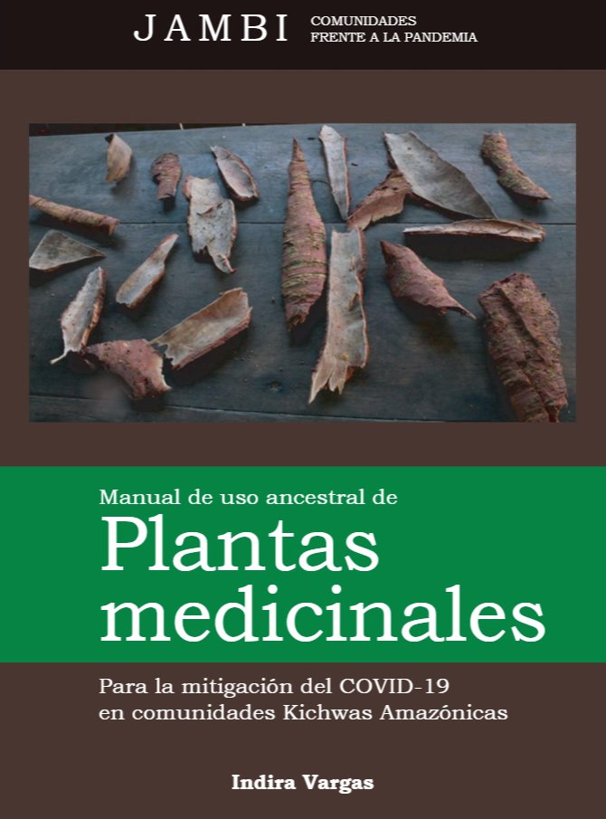 LancerosDigital's tweet photo. JAMBI: Comunidades amazónicas frente a la Pandemia

Manual de plantas medicinales para el tratamiento del COVID19 en comunidades indígenas de la nacionalidad Kichwa de Pastaza. Autora: Indira Vargas

Mira el manual aquí 👉 https://t.co/hBihk04TU6 https://t.co/10p34Pu4ee