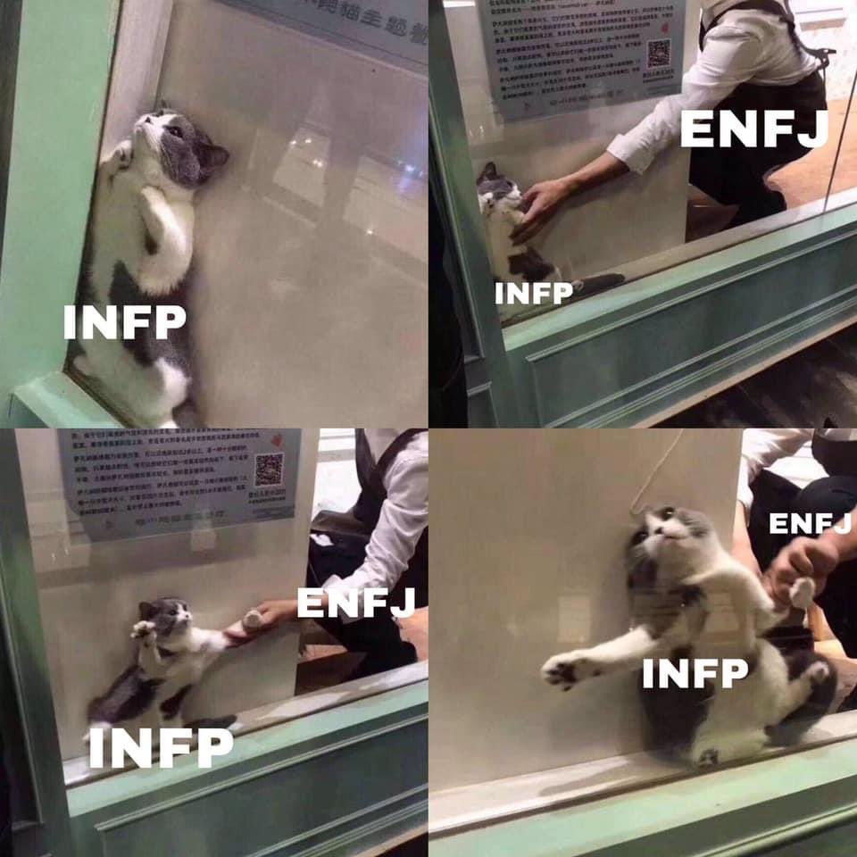 ตลก555555555555 ฮือ ตามมาจากหัวข้อ INFP กับ ENFJ จะรักกันได้ยังไง ประธานสี กับ คนไม่เข้าสี55555555555