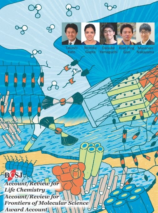 超分子 - Search / X