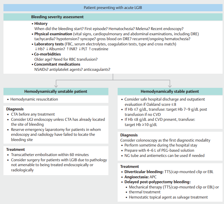 Luis_Corral_Gud's tweet photo. Recién publicada la guía de la Sociedad Europea de endoscopia sobre el diagnóstico y el manejo del sangrado digestivo bajo
https://t.co/b9I1kyjGG9
@Efuentesval @JorgeGCriado1 @drmiguelmarcos  @interna_12 @y_interna @IbnRosa 

1/6 https://t.co/csyjPAn0Bf