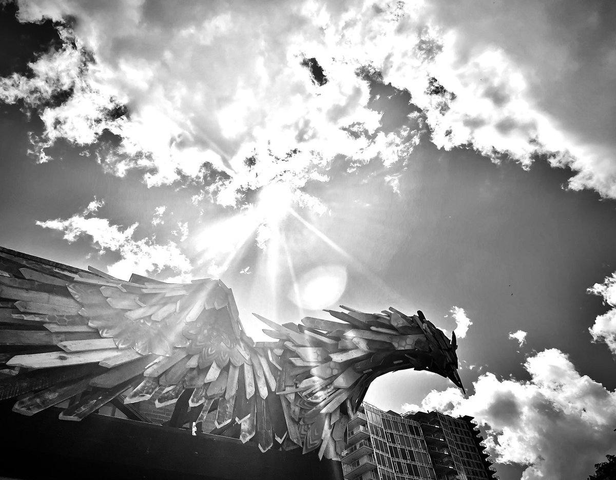 SAngeliMC1's tweet photo. #blackandwhitephotography #yyc #charbar https://t.co/kHqmqxIjDQ
