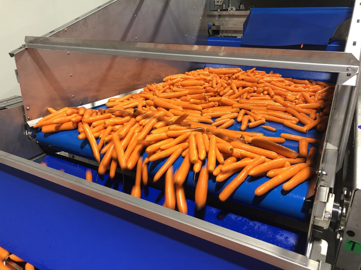 wymasolutions's tweet photo. This Evenflow Hopper was recently installed for a customer's #carrotprocessing line 🥕 The produce is stored and then evenly supplied to the next part of their line, in a continuous process.
Read more about the Evenflow Hopper here: https://t.co/Dam0Bg5vO7 https://t.co/JCCp1cpPMO