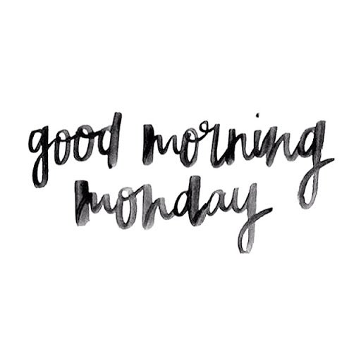 🤩 Happy Monday! 🤩 

#sr8medical #sr8group #firstaid #ppe #safety #security #guardianangel #healthandsafety #infectioncontrol #catering #workplace #covid #nitrile #gloves #sanitisestation #handsanitiser #business #covid19 #covid #lancashire #healgen #antigen #clinell