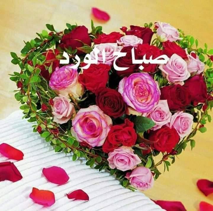 AssmarOAssmar's tweet photo. صباح الرفاق والأصدقاء https://t.co/q3OWgE8MAi