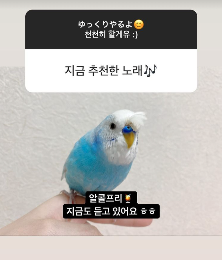 IZONEGLOBALTWT's tweet photo. 📸 [PHOTO] 210621 Nako Instagram story update

📃 Q: Song you recommend now 🎶

A: Alcohol-Free🍹
I'm listening to it right now tooㅎㅎ

#야부키나코 #YabukiNako #矢吹奈子 
#IZONE #아이즈원 #アイズワン @official_izone https://t.co/6Ey8gIU4Pi