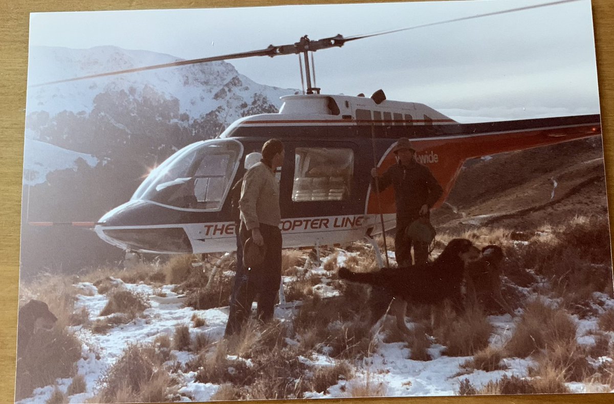 Rocket0764's tweet photo. Just found these😎@AdamCoffeyNT Mid 80’s taking 2 blokes out back to bring in the Ewes before the Winter bites in harder!!
1 pilot, 3 blokes and 6 Dogs🤙🐾🐾💯
Any of you Kiwi lads recognise the area😎
#tadcold #thehelicopterline https://t.co/ZtBozXG1ca