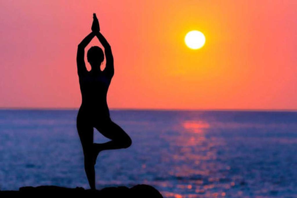 SumitMistry2112's tweet photo. #IDY2021

@narendramodi @vijayrupanibjp @Sheeshpal_Yog @GujaratYogBoard
@DrChetnaMistry
#InternationalDayOfYoga
#YogaDay2021
#YogmayGujarat
#YC_JNDC_012
#YCJNDCO12
#YtChetnaMistry
#DrChetnaMistry
#YT_JNDC_021333 https://t.co/4JV79wbSwu