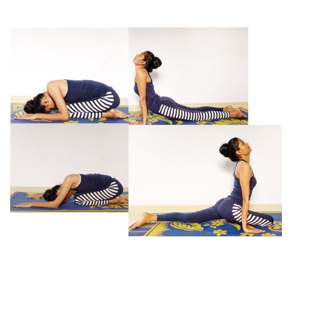 ar_ramteke's tweet photo. #yoga is the gateway of #happiness that body needs in daily #life 🧘 #fitness
#InternationalDayOfYoga #अंतर्राष्ट्रीययोगदिवस https://t.co/Kiz0JBEZ5e