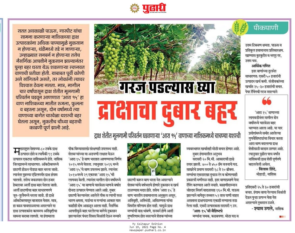 nakhatesuresh's tweet photo. आरा -१५
आरा -१५ द्राक्ष वाणाविषयी दैनिक पुढारी वृत्तपत्रात "पीकपाणी" सदरात आलेली माहिती...
#sahyadri #sahyadrifarms #SeedingGoodness #FPO #FPC #rural #rurban #safefood #bharosagoodnesska #nashikcity #grapes #agriculture #pudhri #VilasShinde #arra15 https://t.co/L1kkshd6Y4