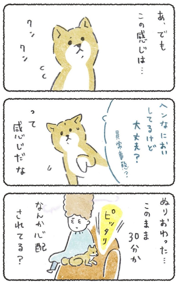 飼い主が髪を染めてる時のこつぶの反応

(1/2) 