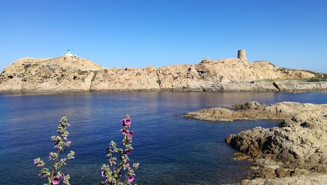 Destinations Vacances: toute la France au départ du Grand Sud <a href="/Aeroport_BOD/">Aeroport de Bordeaux</a> <a href="/aeroportmp/">Aéroport Marseille Provence</a> <a href="/MPLaeroport/">Aéroport Montpellier</a> <a href="/AeroportNice/">Aéroport de Nice</a> <a href="/aeroport_tls/">Aéroport de Toulouse</a> <a href="/aeroportbiq/">Aéroport de Biarritz</a> <a href="/AeroportPau/">Air'py Aéroport Pau Pyrénées</a> <a href="/Aeroport_Toulon/">Aéroport Toulon Hyères</a>

flyandgo.fr/destinations-v…