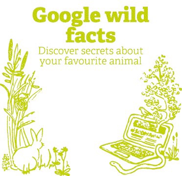 Phoenix Charity tweet media