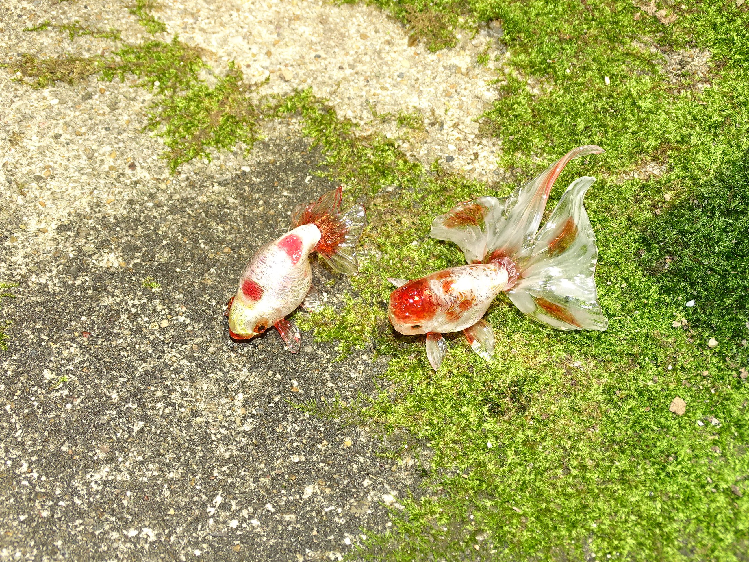 ガラスの金魚 網野篤子 Glass Lifeforms 21 Ma Usa Garasunokingyo1 Twitter