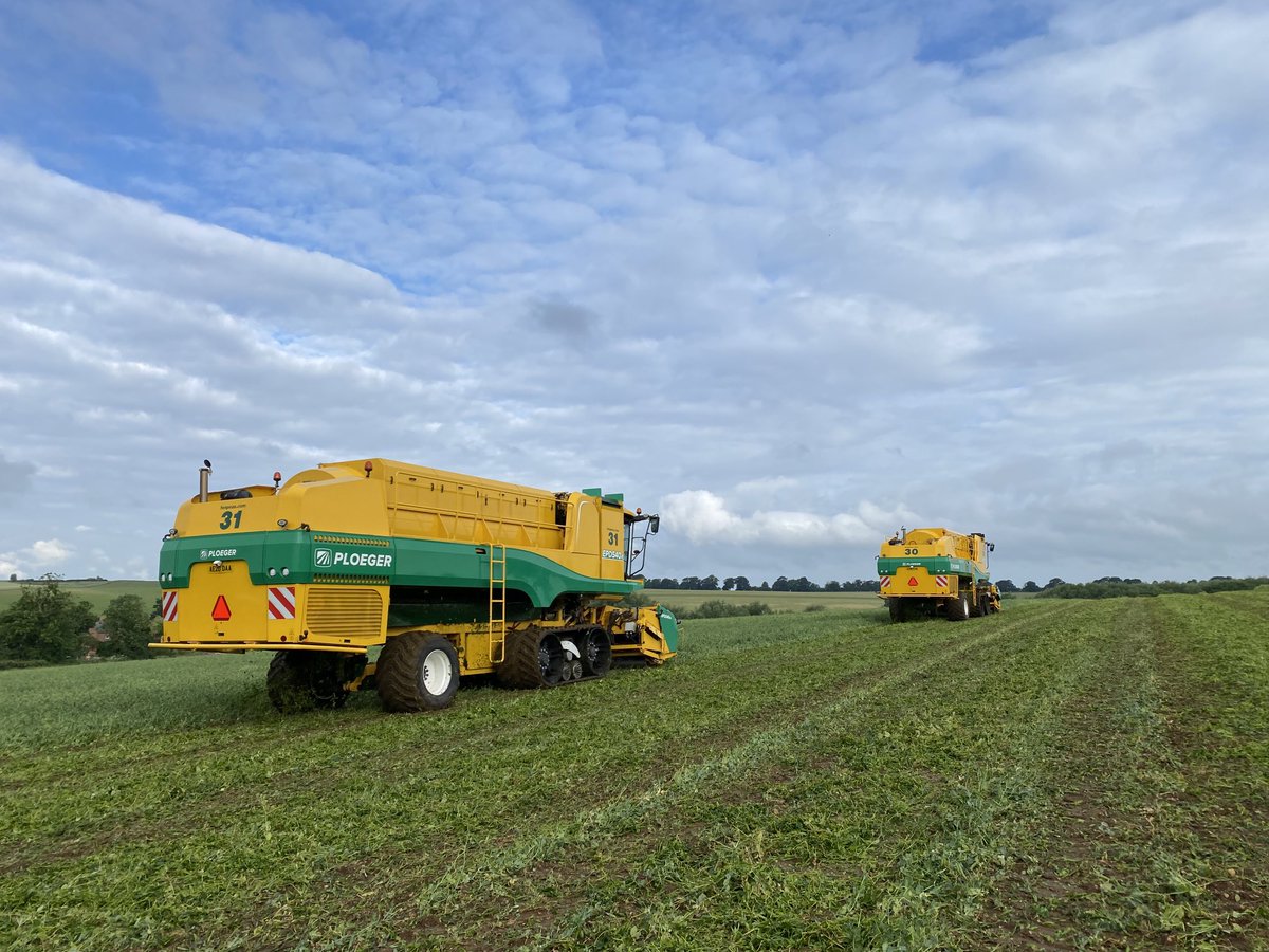 Fen Peas Ltd tweet media