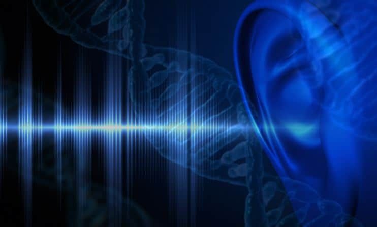 Hereditary Deafness: DFNA9 gene is associated with sudden deafness when people reach their 40s. 

BUT! Researchers are developing a 'genetic patch' to eliminate the problems in these individuals' hearing cells. 

An interesting read below...
buff.ly/3lzfeeH