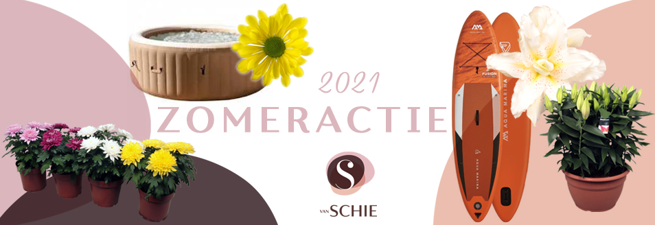 Van Schie tweet media