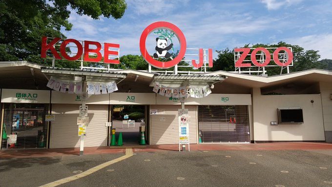 神戸市立王子動物園(公式) on Twitter: "神戸市立王子動物園は6/21(月)から再開園しています。 新型コロナ対策徹底のため ...