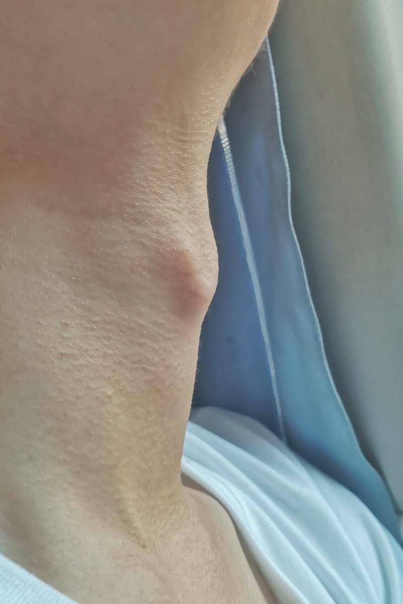 SCNU0729's tweet photo. These photos were taken several hours ago. He said: "I'd like to sit by the window to take a nap."
Full gallery: https://t.co/Cax5UZMAiI https://t.co/piY9bhiJAT