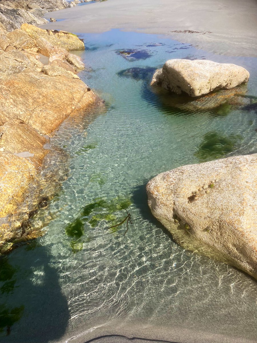cyclesinthedark's tweet photo. When the ebbing tide retreats
Along the rocky shoreline
It leaves a trail of tidal pools
In a short-lived galaxy
Each microcosmic planet
A complete society #nowplayinginmyhead #RushFamily https://t.co/rpWk6px6P8