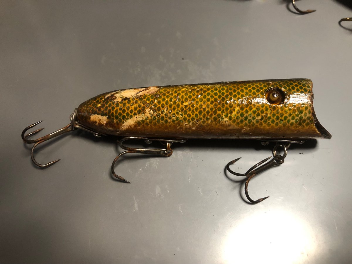 ミノー モンタナ Minnowmontana Twitter