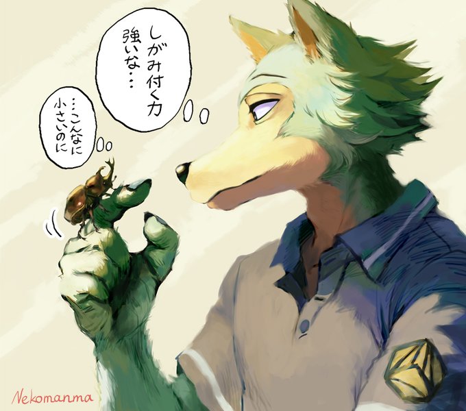 #BEASTARS #beastarsfanart 
It is a beetle bred by Legoshi.

カブちゃん大好きレゴシくん

カブトムシが指や手にしがみ付く時に伝わってくる力の強さっていいよね…尊い 