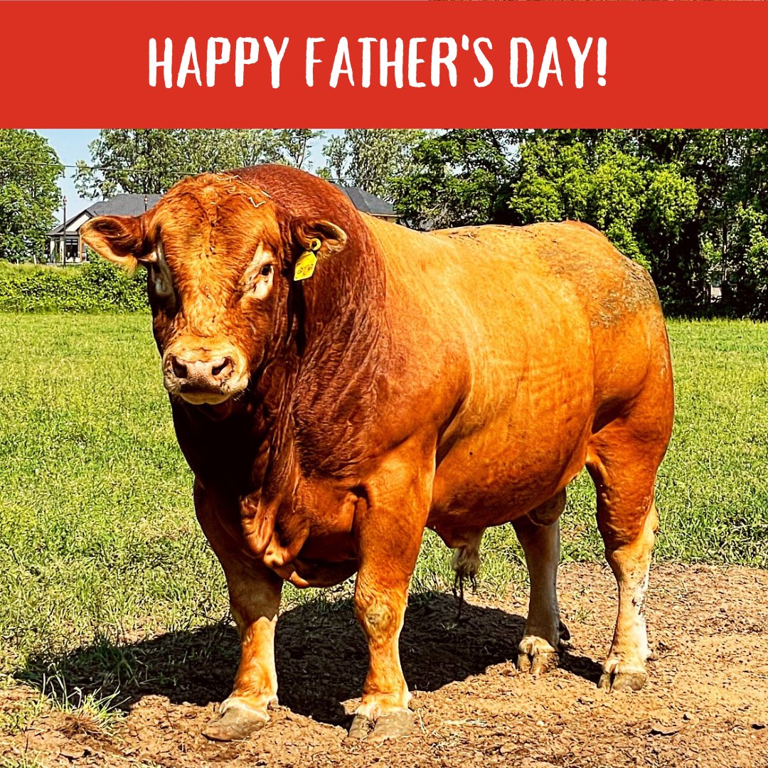 NorpacB's tweet photo. Happy Father’s Day weekend to all of the hard working father out there, from everyone at Norpac we want to wish everyone a safe and happy weekend filled with delicious foods and family! https://t.co/Ry4hxGKY7R