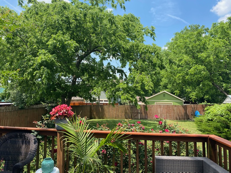 @allisonellis_realtor closed this beautiful house for her clients a few weeks ago in Sylvan Park! The house had several offers (25 all together!!) so Allison worked with her clients to make a competitive offer and beat out the 24 other offers!