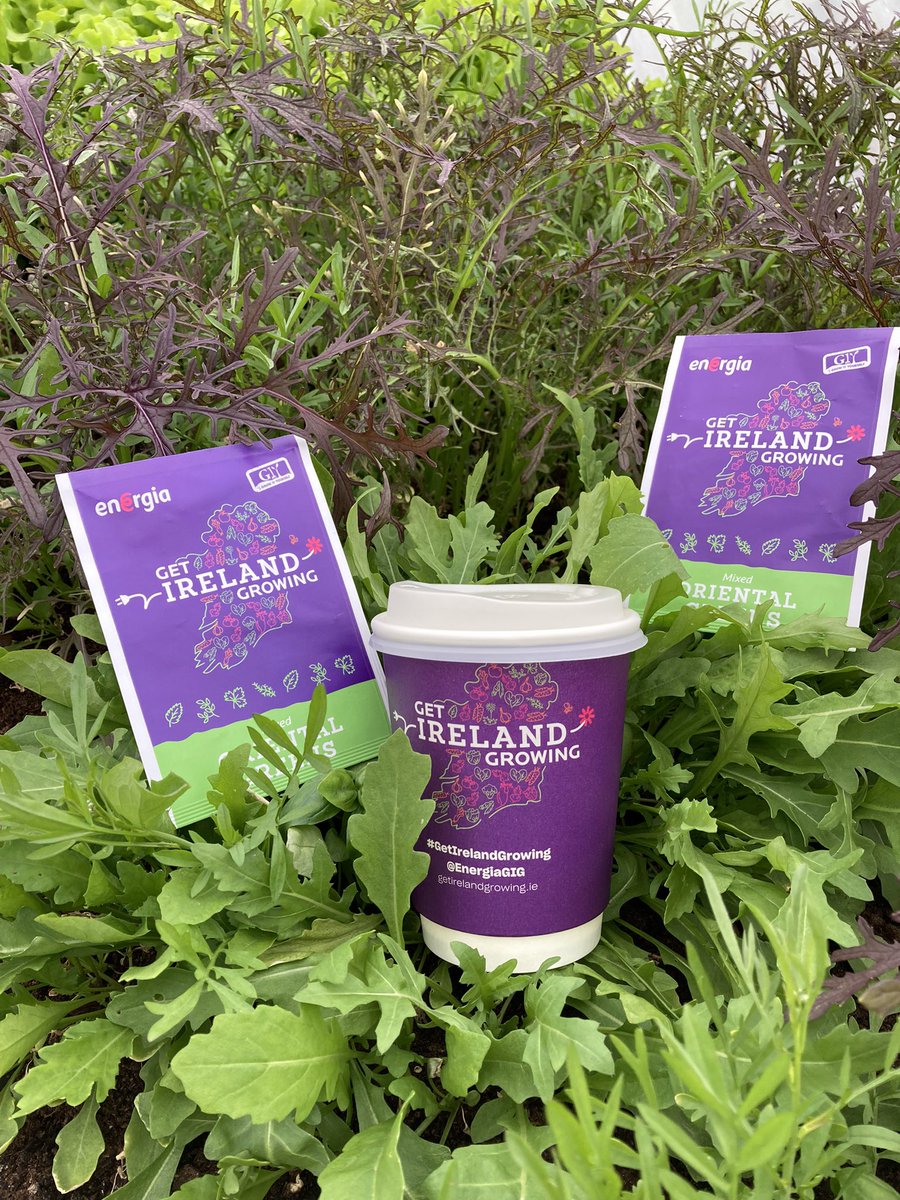Still free seeds available at Naomis cafe #GetIrelandGrowing <a href="/EnergiaGIG/">Get Ireland Growing</a> <a href="/giyireland/">GIY</a>