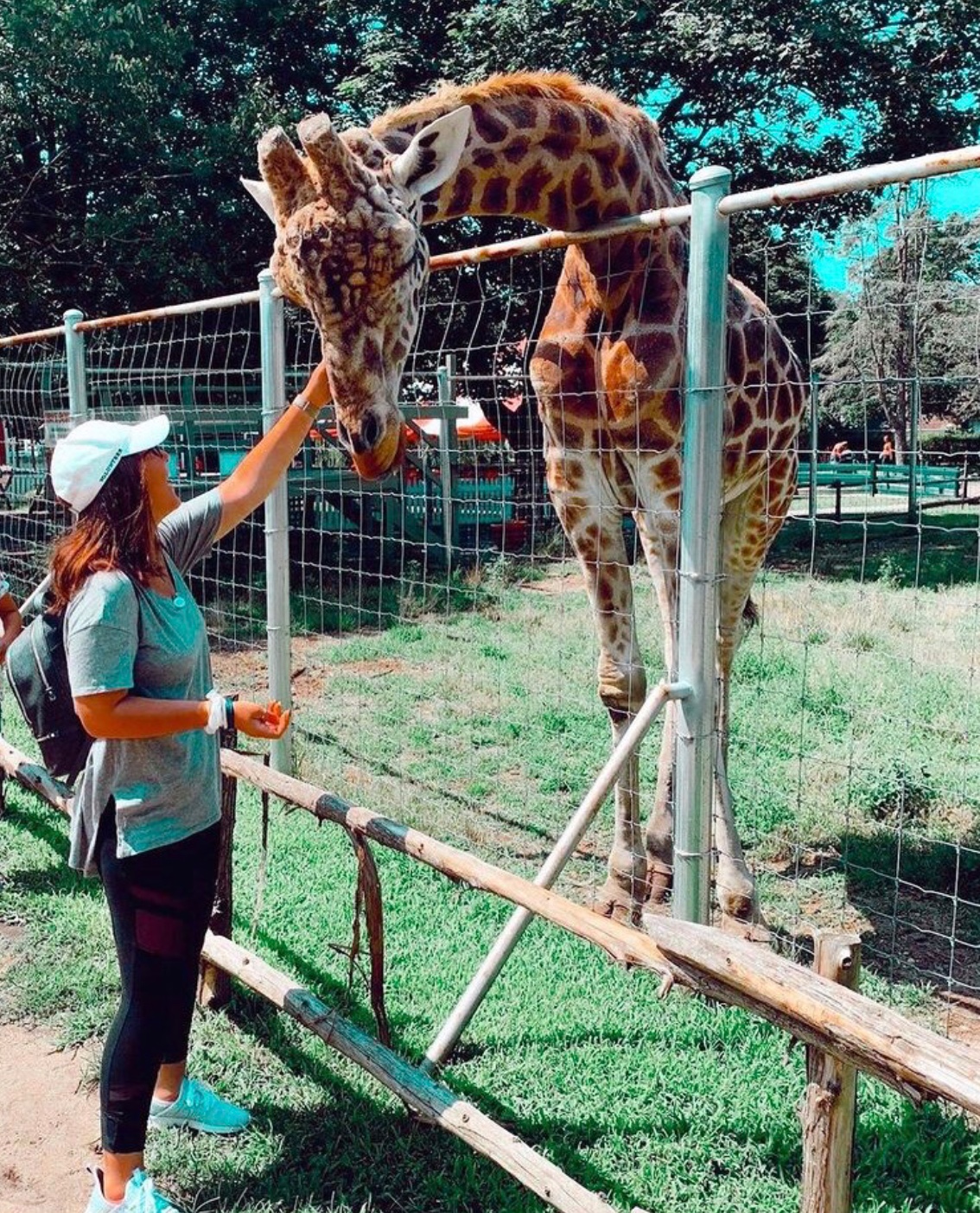 Alpha Epsilon Phi Happy World Giraffe Day Celebrate Almost 45 Years Of Having The Giraffe As Our Aephi Mascot Like These Sisters Did Aef Alphaepsilonphi Aephi T Co Wruaeoeefg Twitter