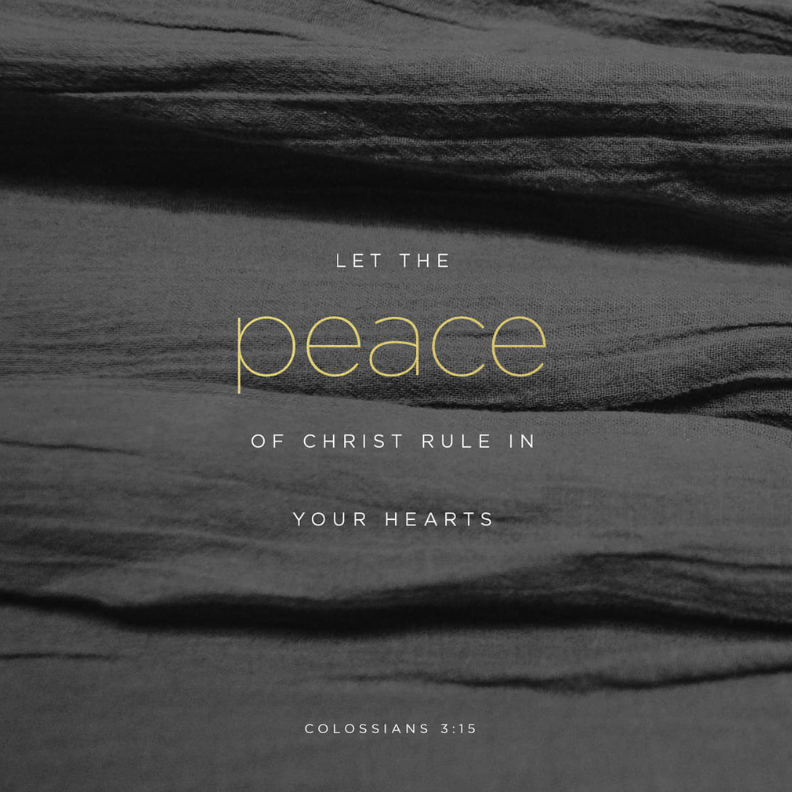 fbwinchesterky's tweet photo. #ScriptureOfTheDay
#FBCWin
#FBCTogether https://t.co/0EpZUndHUm