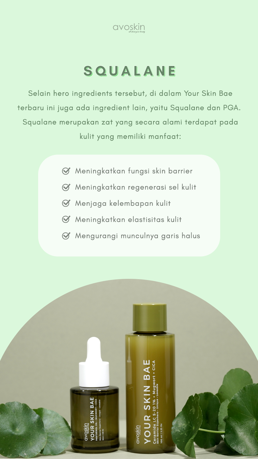 Fungsi ceramide