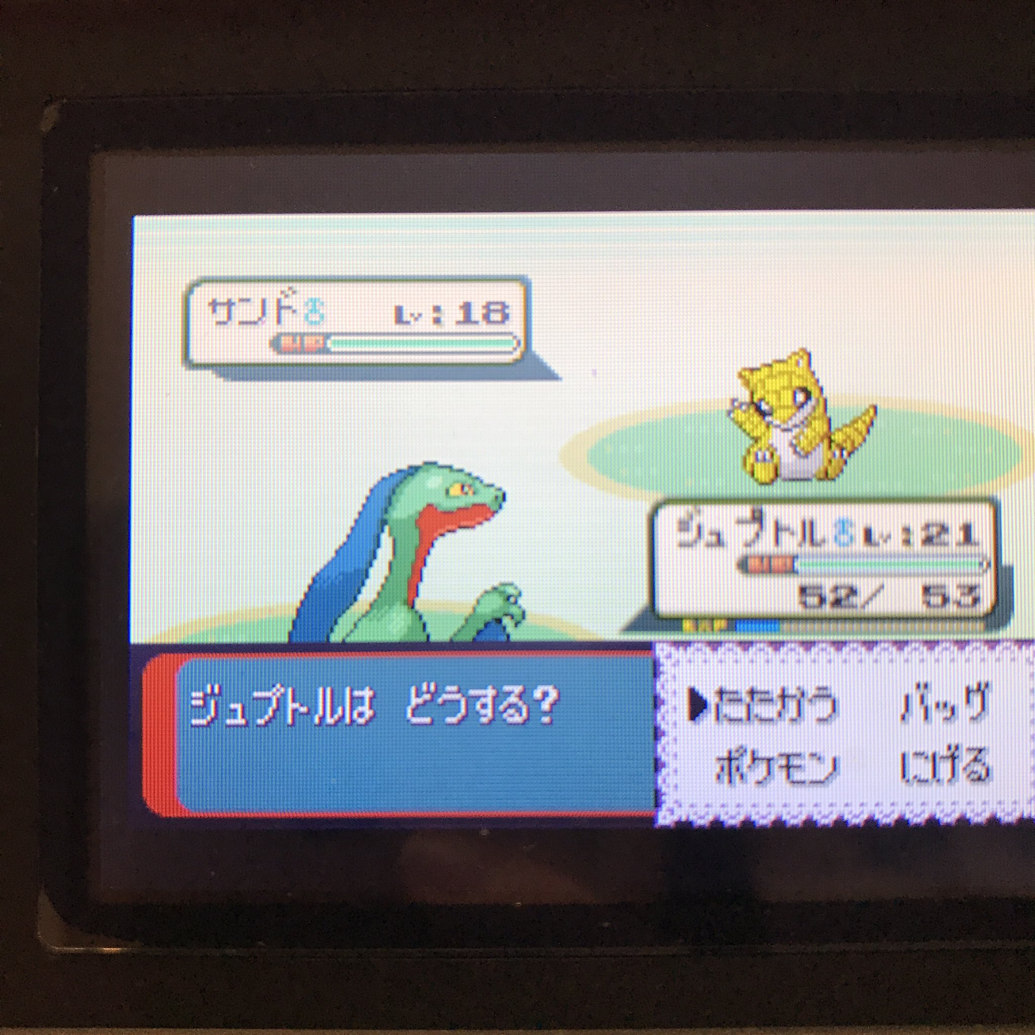 99%以上節約 中身充実 ポケモン エメラルド fawe.org