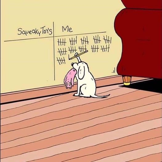 Williamof Kent (@williamofk) on Twitter photo 