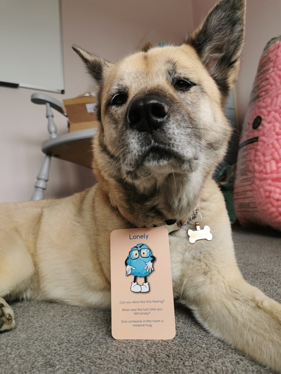 grace_tidmarsh's tweet photo. Temporary assistant today as I am dog sitting Cookie for a friend. Does having a pet help anytimes you have felt lonely? #loneliness #dogassistant https://t.co/OUOxXsSGVy