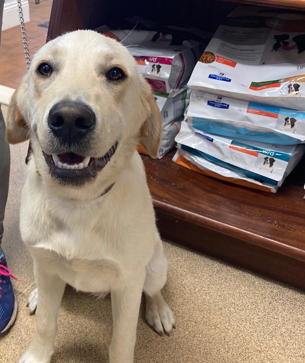 Happy Monday from this happy Pup 🐶😃