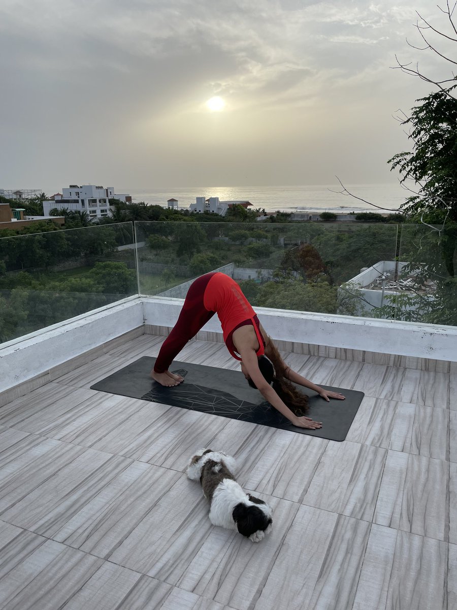 KeerthyOfficial's tweet photo. “Yoga does not just change the way we see things, it transforms the person who sees.” ― B.K.S Iyengar

#YogaDay #InternationalYogaDay #InternationalDayOfYoga https://t.co/Svk6bZTqxr